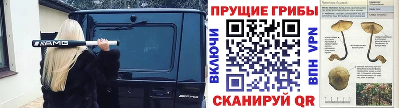 Галлюциногенные грибы MAGIC MUSHROOMS  MEGA tor  Качканар 