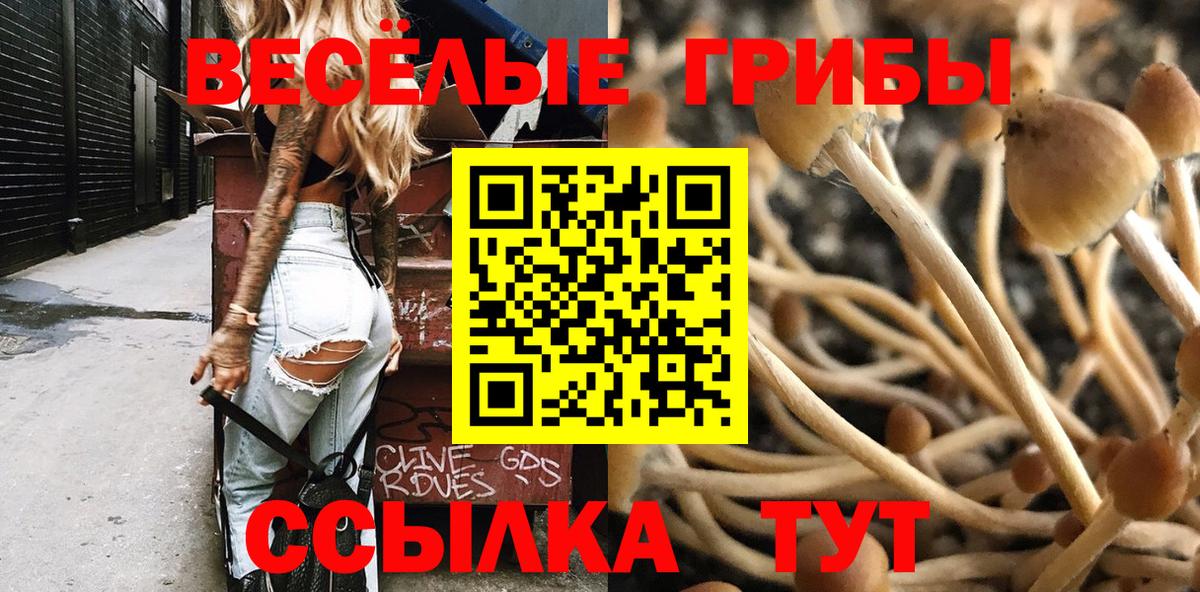 Псилоцибиновые грибы Magic Shrooms  Вход с VPN  Псилоцибиновые грибы GOLDEN TEACHER  Качканар 