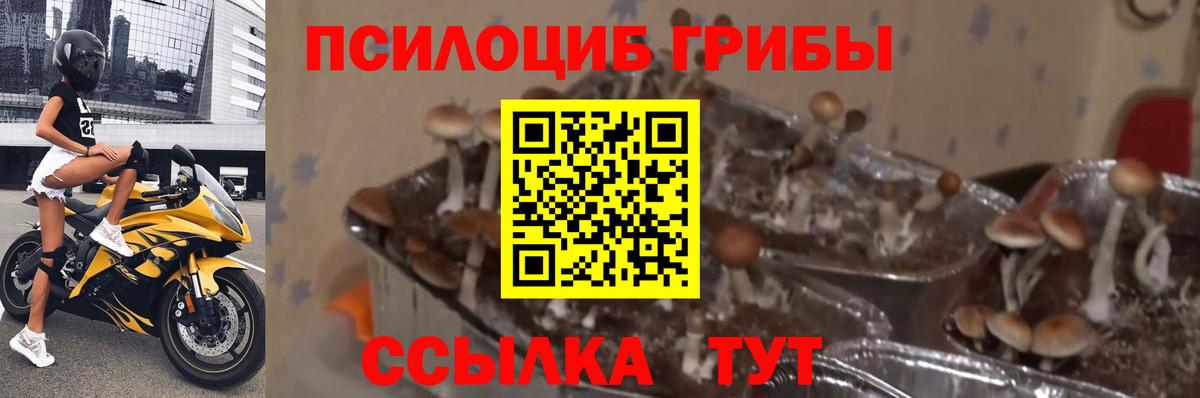Галлюциногенные грибы мухоморы Качканар