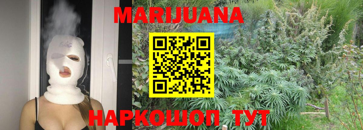 Каннабис OG Kush Качканар